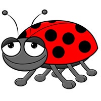 Ladybug coloring pages