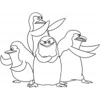 Madagascar coloring pages