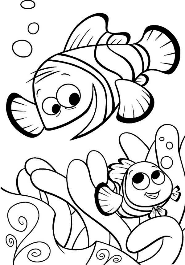 Finding nemo coloring pages