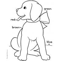 Color coloring pages