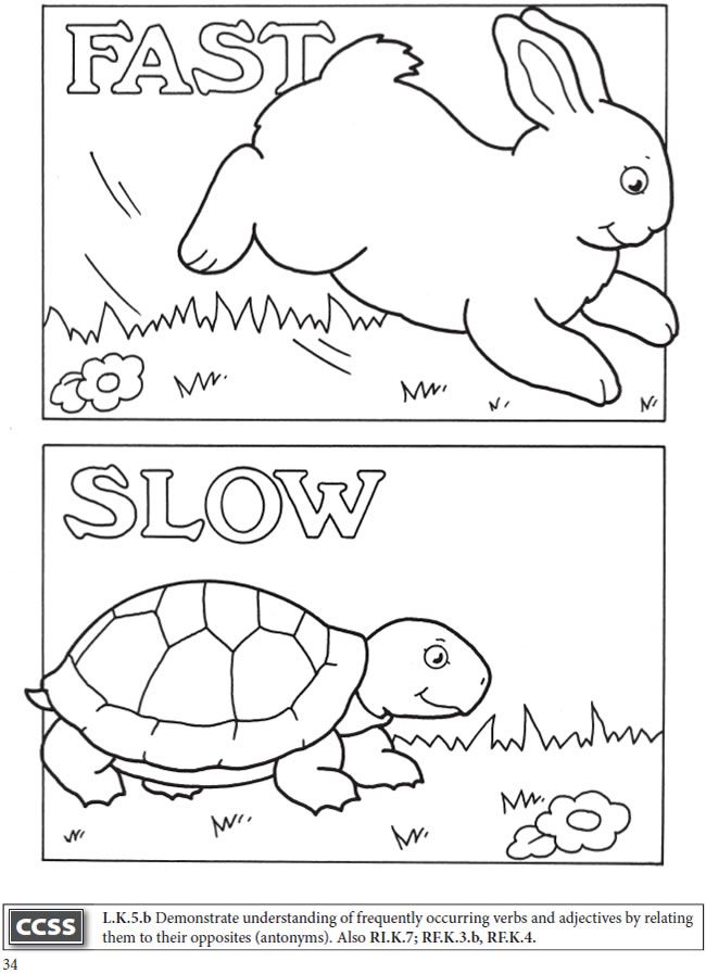 Coloring Pages Opposites Preschool