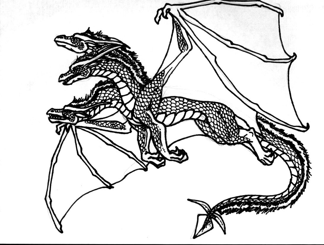 Coloring Pages Adults Dragon Dragons Realistic