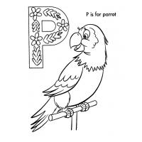 Letter P coloring pages
