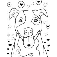 Pitbull coloring pages