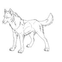 Wolf coloring pages