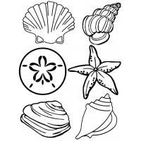 Ocean life coloring pages