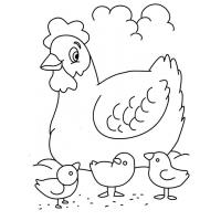 Hens coloring pages