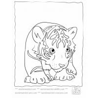 Baby tiger coloring pages