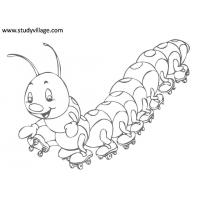 Insect coloring pages