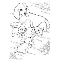 Dogs and puppies coloring pages
