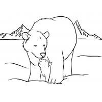 Polar bear coloring pages