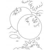 Plum coloring pages