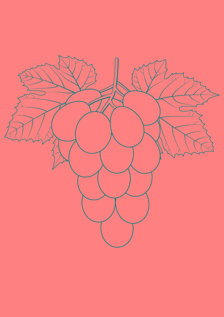 14 Strawberry Shortcake Printable Coloring Pages Coloring Blueberry 