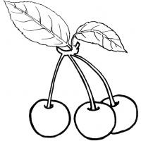 Cherry coloring pages