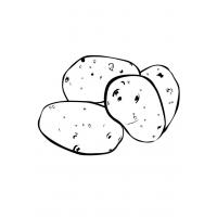 Potatoes coloring pages