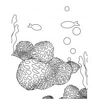 Coral coloring pages