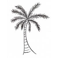 Date palm coloring pages