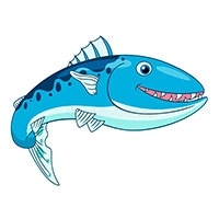 Barracuda coloring pages