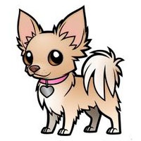 Chihuahua dog coloring pages