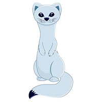 Ermine coloring pages