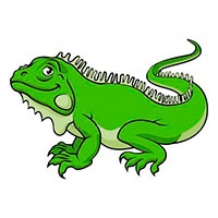 Reptile coloring pages