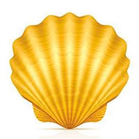 Seashell coloring pages