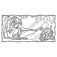 Disney lion king coloring pages
