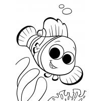 Finding nemo coloring pages