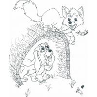 Fox and the hound coloring pages