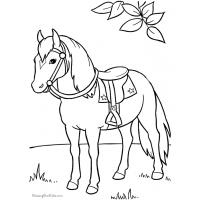 Cartoon horses coloring pages