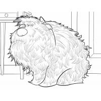 The secret life of pets coloring pages