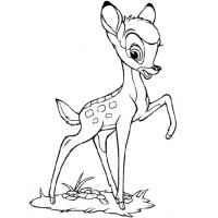 Bambi and friends coloring pages