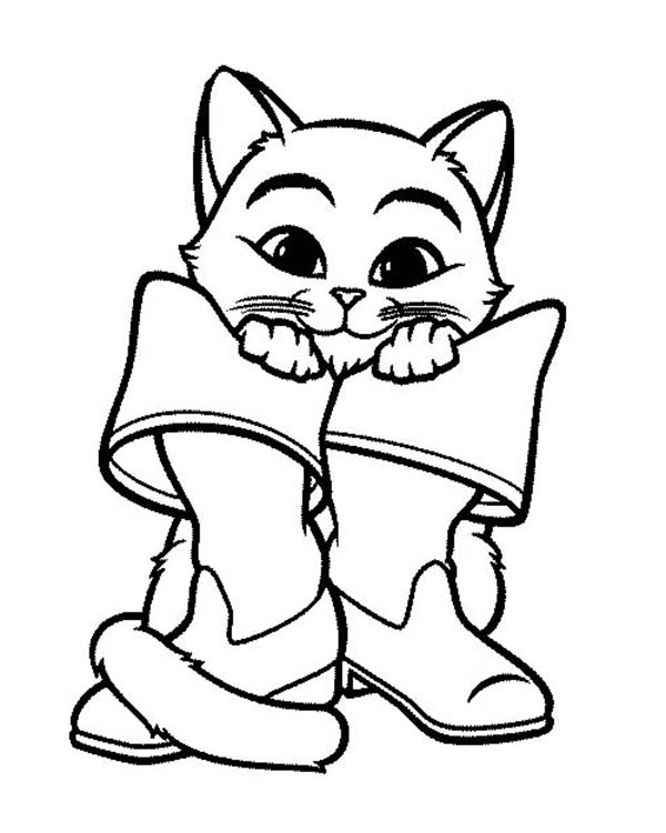 Download Puss in boots coloring pages