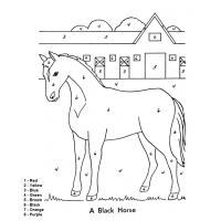 Color coloring pages