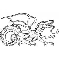 Dragon coloring pages for adults