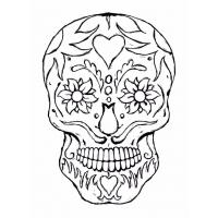 Adult coloring pages to print
