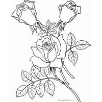 Adult coloring pages flowers