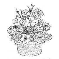 Detailed flower coloring pages