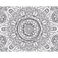 Detailed flower coloring pages