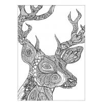 Animals coloring pages for adults
