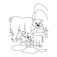 Bear coloring pages