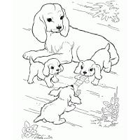 Cat and dog coloring pages