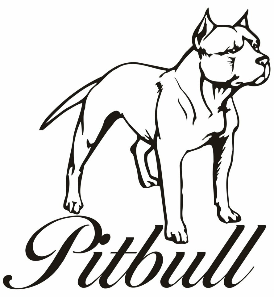 Pitbull coloring pages to download and print for free