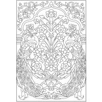 Peacock coloring pages