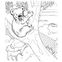 All animals coloring pages