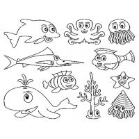 All animals coloring pages