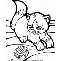 Kitten coloring pages