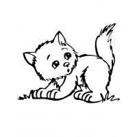 Kitten coloring pages