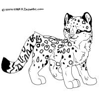 Leopard coloring pages