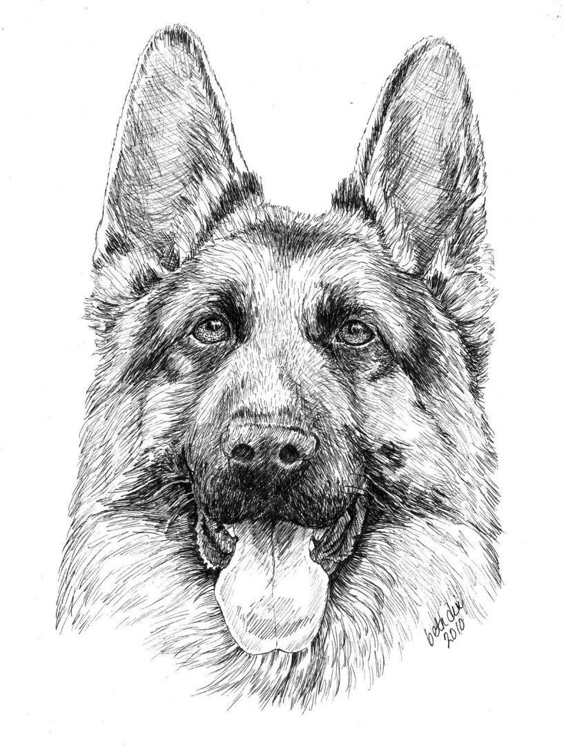 German shepherd coloring pages to download and print for free